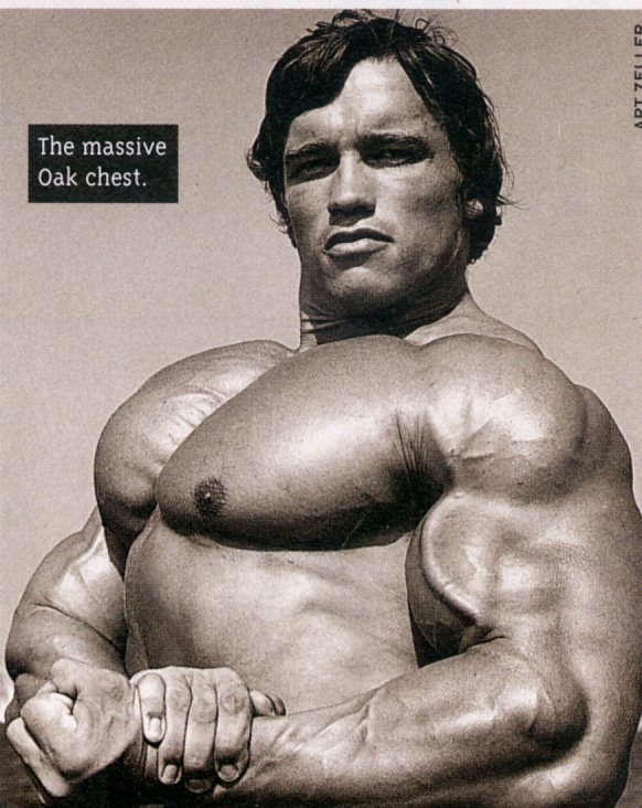 Arnold Schwarzenegger